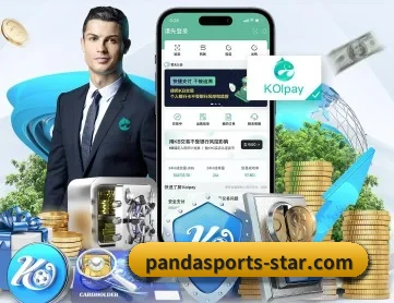 熊猫体育世界杯 APP 深度功能