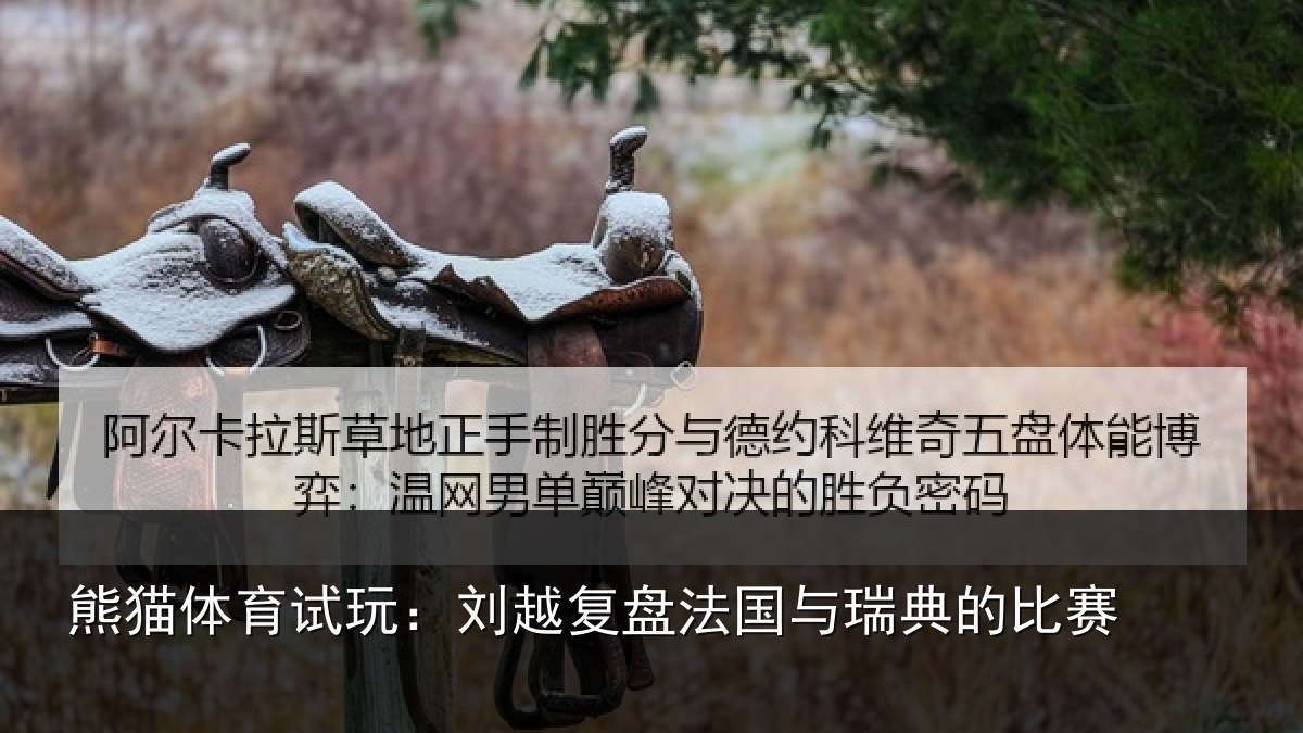 熊猫体育试玩：刘越复盘法国与瑞典的比赛