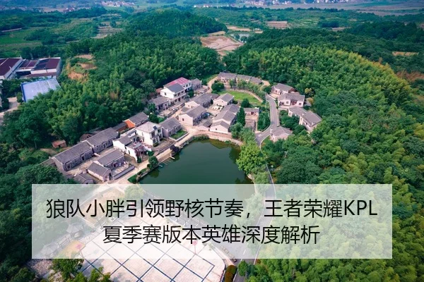 狼队小胖引领野核节奏，王者荣耀KPL夏季赛版本英雄深度解析