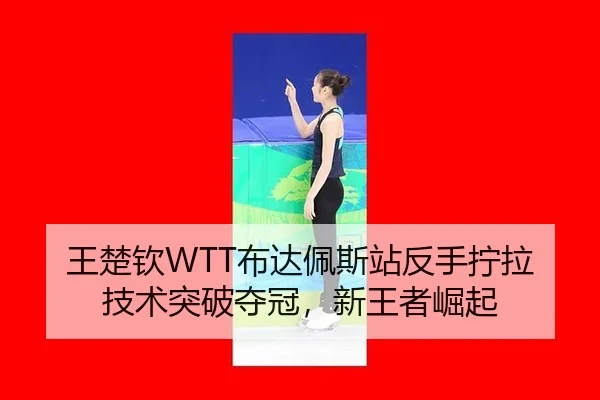 王楚钦WTT布达佩斯站反手拧拉技术突破夺冠，新王者崛起