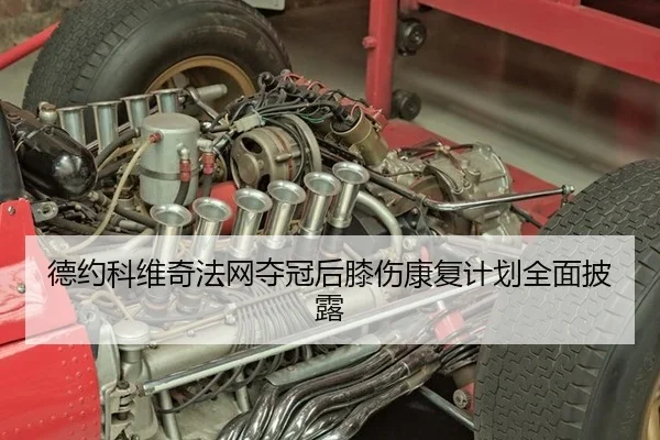 德约科维奇法网夺冠后膝伤康复计划全面披露