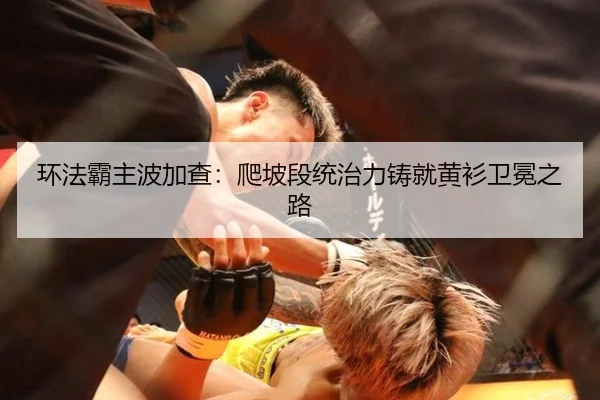 huan-fa-ba-zhu-bo-jia-cha-pa-po-duan-tong-zhi-li-zhu-jiu-huang-shan-wei-mian-zhi-lu-2-569.jpg