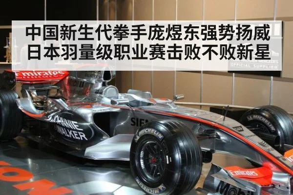 中国新生代拳手庞煜东强势扬威日本羽量级职业赛击败不败新星