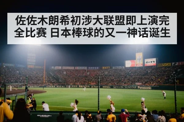 baseball stadium night